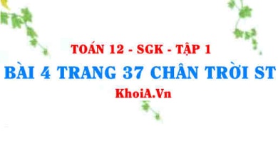 Bài 4 trang 37 Toán 12 Tập 1 Chân trời sáng tạo